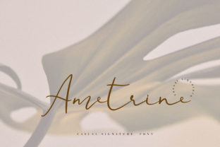 Ametrine Font for Authentic, High-Visibility Campaign Graphics