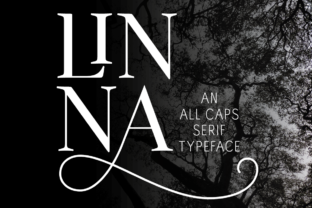 Linna: A Humanist Serif Font for Distinctive Headlines and Branding