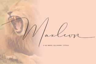 Maxleon: An Elegant Script Handwritten Font for Editorial Design