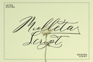 Miolleta Script: A Handwritten Font That Elevates Your Brand