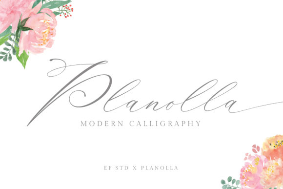 Planolla: A Delicate Script Handwritten Font for Elegant Campaigns