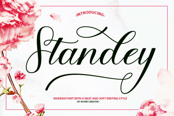 Standey: A Script Handwritten Font for Warm, Inviting Editorial Design
